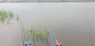 민물수영 민물낚시 노지조행기 > 가면서 오면서 들리는 충주 수로 (참새 방 앗 간) : 낚시사랑