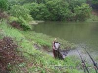팔묜 민물낚시 노지조행기 > 낚시 댕겨온 이바구 : 낚시사랑