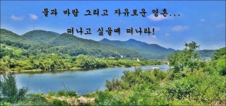 몸짱 아놀드 민물낚시 노지조행기 > 우리는 부부조사다! : 낚시사랑