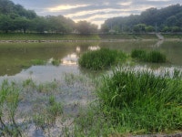 민물수영 민물낚시 노지조행기 > 예천군 과 문경시 하천 낚시를 했습니다 : 낚시사랑