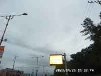 팔묜 민물낚시 노지조행기 > 낚시 댕겨온 이바구 : 낚시사랑