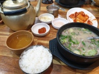 팔묜 민물낚시 노지조행기 > 낚시 댕겨온 이바구 : 낚시사랑