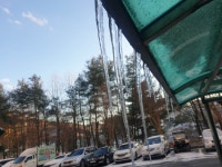 팔묜 민물낚시 노지조행기 > 낚시 댕겨온 이바구 : 낚시사랑