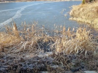 민물수영 민물낚시 노지조행기 > 23년 을 장식 하는 해돋이 를 보면서ㅡ 붕어 들과 송별회 입니다~~~ : 낚시사랑