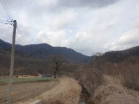팔묜 민물낚시 노지조행기 > 낚시 댕겨온 이바구 : 낚시사랑