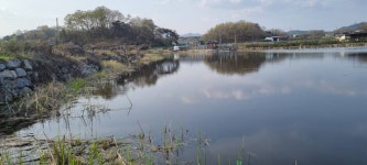 민물수영 민물낚시 노지조행기 > 항상 반겨 주는 붕어들 보러 갑니다~~~ 언제라도 오라는 동네 저수지붕어 입니다~~~ : 낚시사랑