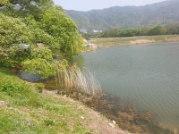 팔묜 민물낚시 노지조행기 > 낚시 댕겨온 이바구 : 낚시사랑