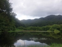 팔묜 민물낚시 노지조행기 > 낚시 댕겨온 이바구 : 낚시사랑