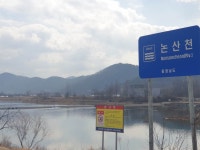 팔묜 민물낚시 노지조행기 > 낚시 댕겨온 이바구 : 낚시사랑