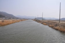 빨간풍차 민물낚시 노지조행기 > 강풍비상으로 철수한 강화 내가천 : 낚시사랑