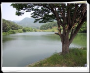 팔묜 민물낚시 노지조행기 > 낚시 댕겨온 이바구 : 낚시사랑