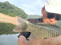 외대도사 민물낚시 노지조행기 > 폭염 뚫고 파로호로!!! : 낚시사랑