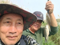 외대도사 민물낚시 노지조행기 > 폭염 뚫고 파로호로!!! : 낚시사랑