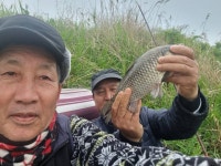 외대도사 민물낚시 노지조행기 > 폭염 뚫고 파로호로!!! : 낚시사랑