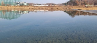 민물수영 민물낚시 노지조행기 > 전국 낚시 여행~ 문경 영강 ~물가 이야기~ : 낚시사랑