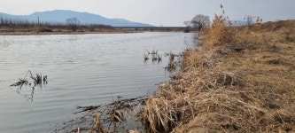 민물수영 민물낚시 노지조행기 > 주덕보 낚시 요도천 물가 이야기 : 낚시사랑
