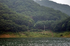 새버들 > 마음의 고향 : 낚시사랑
