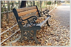 어신 민물낚시 노지조행기 > 잠깐 흘러간 남양호 : 낚시사랑