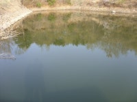 바다하늘산 > 충청권 소류지 탐사 ... 광풍우(狂風雨) ... 2011.4.29 ~ 5.1 ... : 낚시사랑
