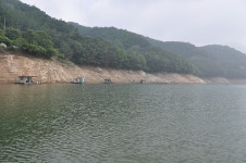 남한강낚시 통신원속보 > 36cm 월척붕어, 1kg급 대물장어 모습... : 낚시사랑