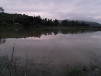 바다하늘산 > 강원권 소류지 탐사 ... 비(雨) ... 2011.7.8 ~ 7.10 ... : 낚시사랑
