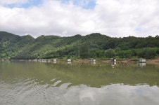 남한강낚시 통신원속보 > 수위 안정되니 낚시터마다 월척소식... : 낚시사랑