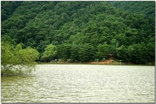 나들이 > 만수의 파로호 골방천으로 : 낚시사랑