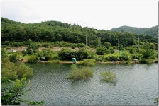 나들이 > 충남서천에서 청양까지 ^^ : 낚시사랑