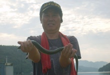 남한강낚시 통신원속보 > 오랜만에 1kg급의 대물장어 소식입니다. : 낚시사랑