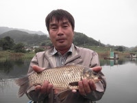 남한강낚시 통신원속보 > 한가위 선물로 1kg급 장어를 ... : 낚시사랑