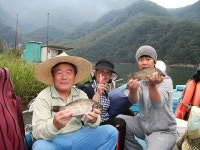 남한강낚시 통신원속보 > 한가위 선물로 1kg급 장어를 ... : 낚시사랑