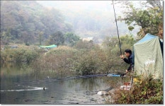 어신 > 가을빛이 물드는 이곡지에서... : 낚시사랑