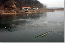 어신 > 가족과 함께...정죽지(비석거리지).. : 낚시사랑