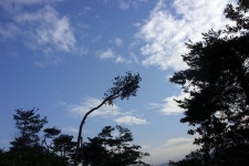 바다하늘산 > 충청권 소류지 탐사 ... 벗 (友) ... 2012.8.11~8.12 ... : 낚시사랑