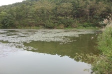 바다하늘산 > 충청권 소류지 탐사 ... FTV - 즐거운 낚시 기행 ... 2012.9.21 ~ 9.23 ... : 낚시사랑