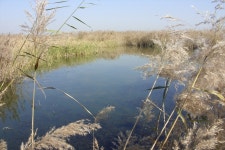 바다하늘산 > 경기권 소류지 탐사 ... 입동 (立冬) ... 2012.11.2~11.4 ... : 낚시사랑