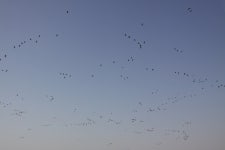 바다하늘산 > 경기권 소류지 탐사 ... 동야 (冬夜) ... 2012.11.30~12.2 ... : 낚시사랑