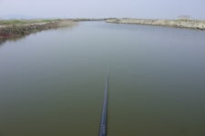 바다하늘산 > 경기권 소류지 탐사 ... 소만(小滿) ... 2013.5.24~5.26 ... : 낚시사랑