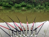 새버들 > 삼 판.. : 낚시사랑