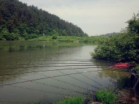 새버들 > 삼 판.. : 낚시사랑