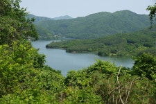 엘리어트 > 엘리어트의 여름 낚시여행 (강원도 춘천, 촌천댐 오월 낚시터 - 편 ) : 낚시사랑