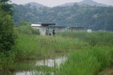 엘리어트 > 엘리어트의 여름 낚시여행 : 낚시사랑