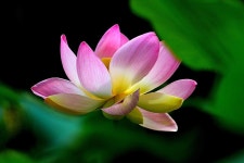 아라마크제천학사지점 | 엘리어트 > 엘리어트의 낚시여행 - 청풍면 학현리 계곡을 찾아서... : 낚시사랑