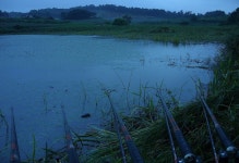 바다하늘산 > 경기권 소류지 탐사 ... 초복 (伏─) ... 2013.7.12~7.14 ... : 낚시사랑