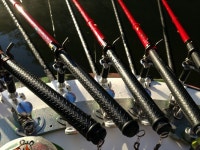 새버들 > 樂 時 : 낚시사랑