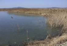 바다하늘산 > 경기권 소류지 탐사 ... 대한(大寒) ... 2014.1.18 ... : 낚시사랑