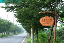 토탈조사 > 충남보령시 오천면 소성리 소재 신촌지(新村池) : 낚시사랑