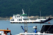 토탈조사 > 충남보령시 오천면 소성리 소재 신촌지(新村池) : 낚시사랑