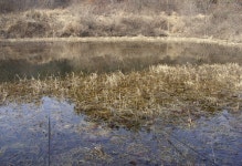 바다하늘산 > 충청권 소류지 탐사 ... 광풍 (狂風) ... 2014.3.14 ~ 3.16 ... : 낚시사랑