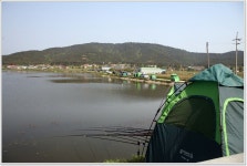 어신 > 아쉽기만 한 죽림지 : 낚시사랑